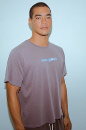 NY Hero Box Tee In Fig