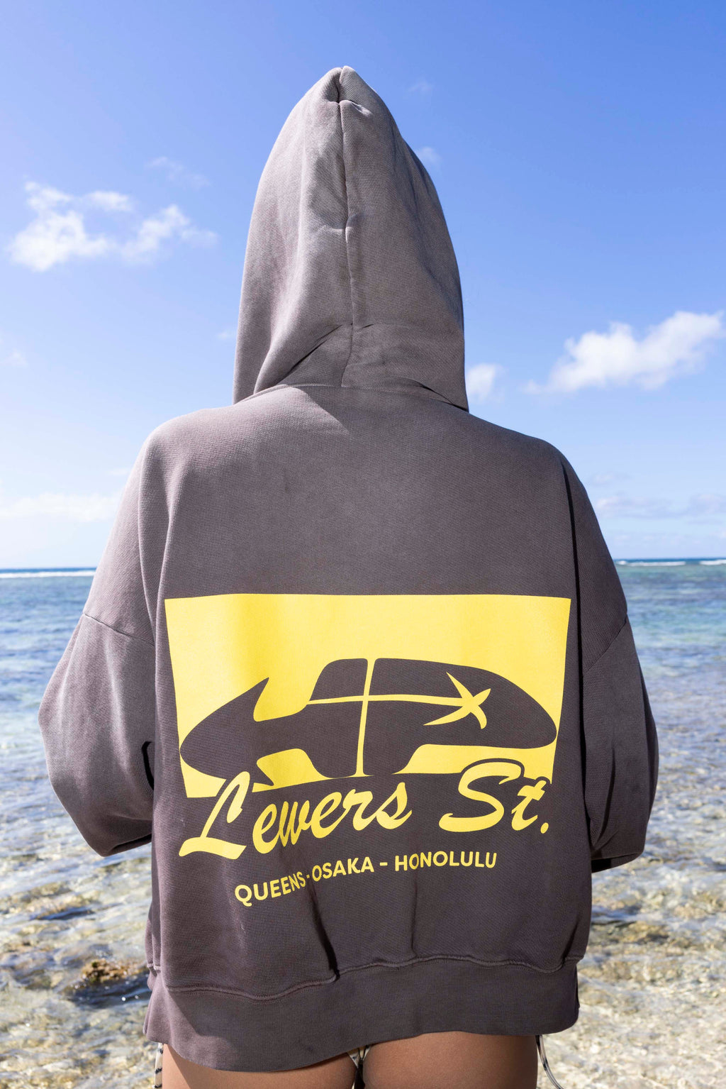 Hp Zip Hoodie In Deep Chocolate/Sunstruck Yellow