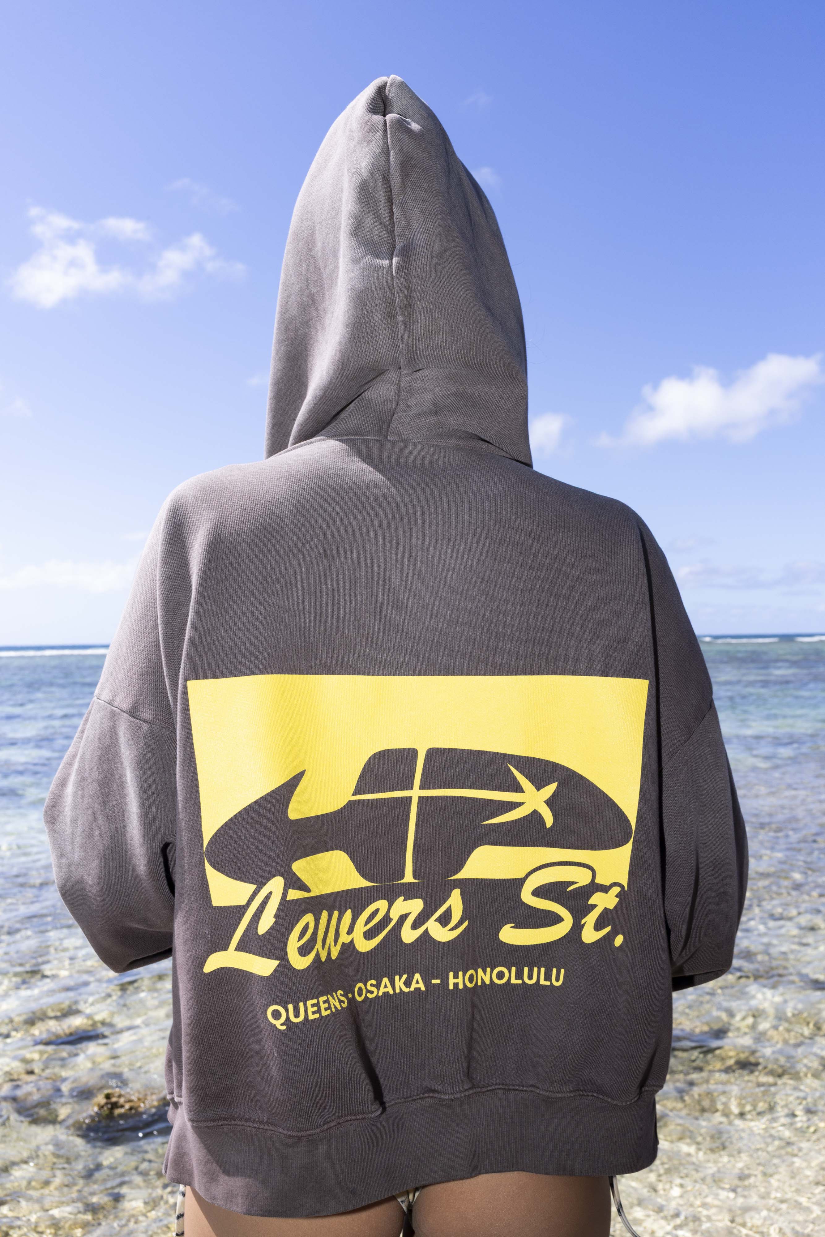 Hp Zip Hoodie In Deep Chocolate/Sunstruck Yellow