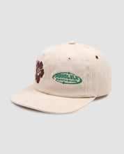 Pacific Pawn 6 Panel In Stone