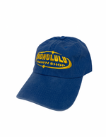 Hero Dad Hat In Pawn Blue